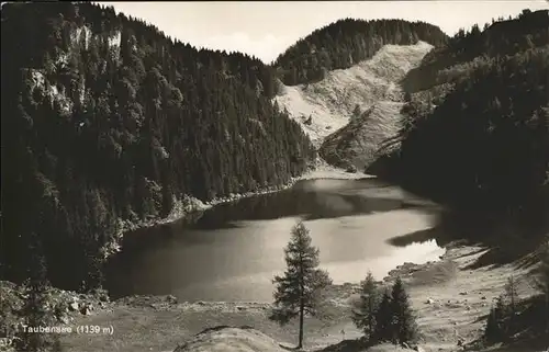 Marquartstein Taubensee Kat. Marquartstein