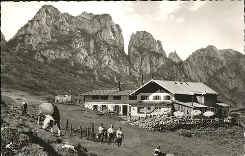 Kampenwand Chiemgau Steinlingsalm Terrasse Kuehe Wandern Kat. Aschau i.Chiemgau