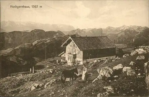 Marquartstein Hochgernhaus Frau Esel Kat. Marquartstein