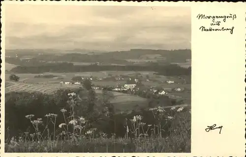 Natternberg Niederbayern Panorama / Deggendorf /Deggendorf LKR