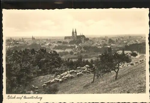 Quedlinburg Harz Sachsen Anhalt Gesamtansicht Schafherde Kat. Quedlinburg