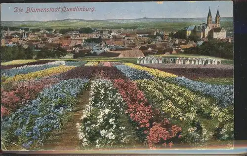 Quedlinburg Harz Sachsen Anhalt Stadt Blumen Schloss Kat. Quedlinburg