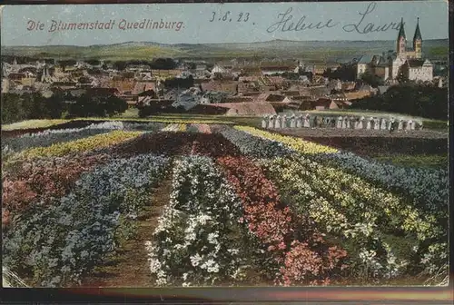 Quedlinburg Harz Sachsen Anhalt Blumen Gesamtansicht Kat. Quedlinburg