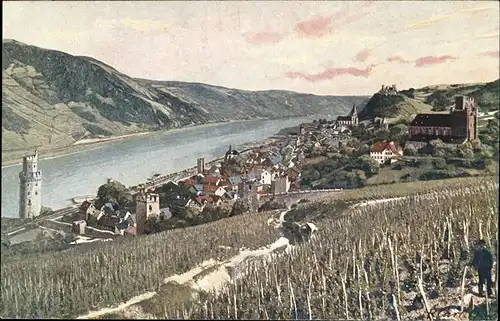 Oberwesel Rhein Rhein Weinreben  Kat. Oberwesel