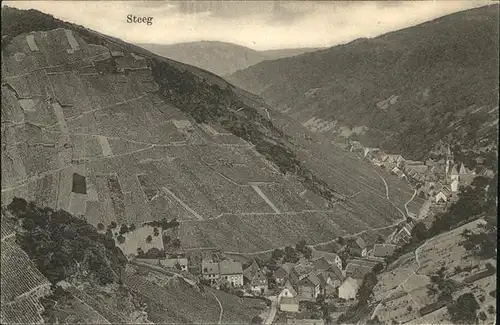 Steeg Bacharach Fliegeraufnahme Weingreben  Kat. Bacharach