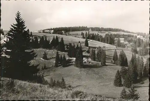 Feldberg Schwarzwald Panorama Kat. Feldberg (Schwarzwald)