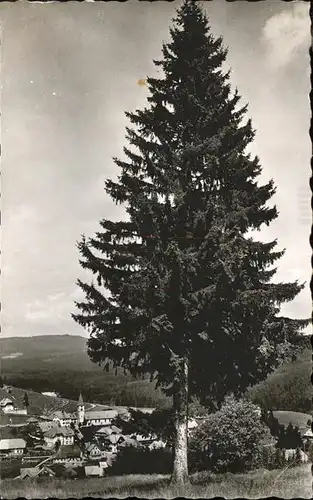 Altglashuetten Feldberg Kat. Feldberg (Schwarzwald)