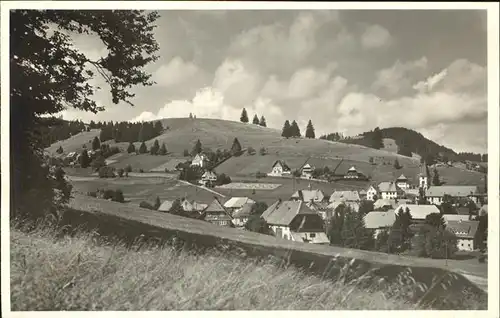 Altglashuetten Feldberg Kat. Feldberg (Schwarzwald)