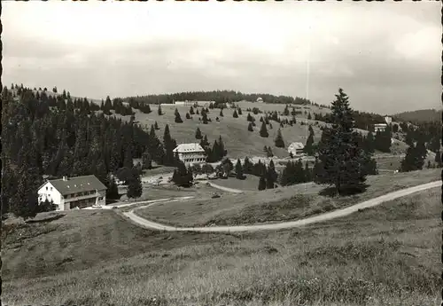 Feldberg Schwarzwald Panorama Kat. Feldberg (Schwarzwald)