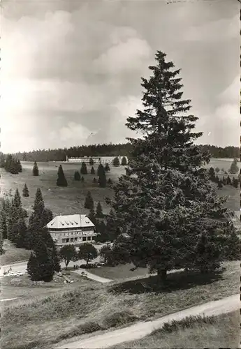 Feldberg Schwarzwald Gasthof Albquelle Kat. Feldberg (Schwarzwald)