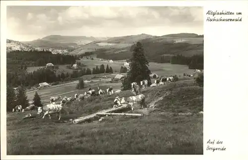 Altglashuetten Auf der Bergweide Kat. Feldberg (Schwarzwald)