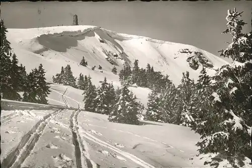 Feldberg Schwarzwald Wintersportplatz Seebuck Bismarck Denkmal Kat. Feldberg (Schwarzwald)