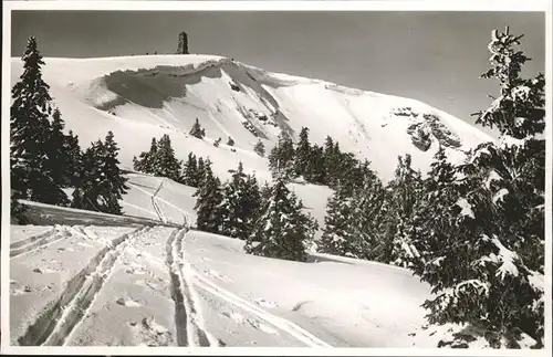 Feldberg Schwarzwald Winterimpressionen am Seebuck Bismarck Denkmal Kat. Feldberg (Schwarzwald)