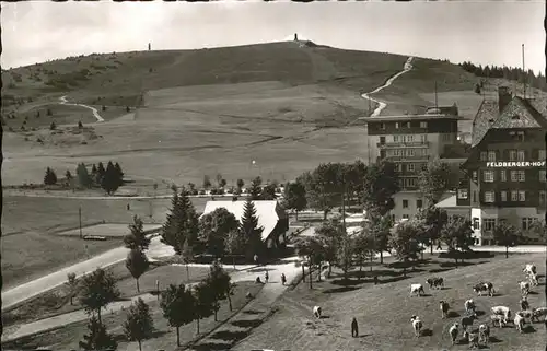 Feldberg Schwarzwald Hotel Feldberger Hof mit Blick zum Seebuck Bismarck Denkmal im Sommer  Kat. Feldberg (Schwarzwald)