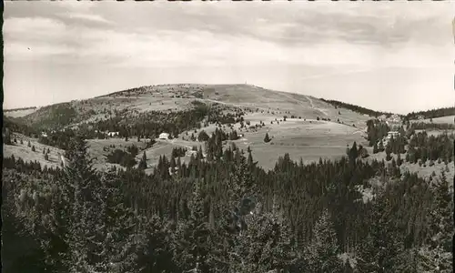 Feldberg Schwarzwald Sommer Panorama Kat. Feldberg (Schwarzwald)