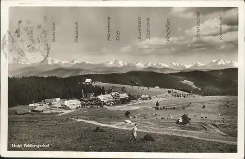 Feldberg Schwarzwald Hotel Feldberger Hof Panorama mit Alpenblick Kat. Feldberg (Schwarzwald)