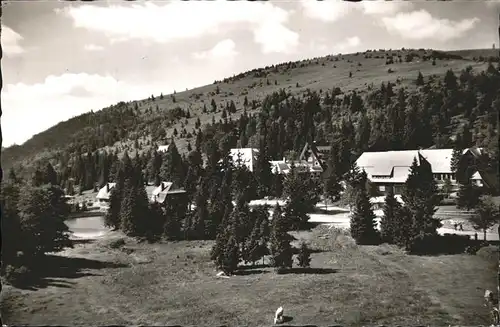 Feldberg Schwarzwald Feldberg Ort an der Jugendherberge Hebelhof Kat. Feldberg (Schwarzwald)