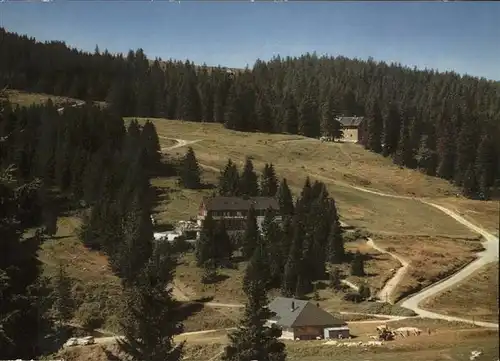 Feldberg Schwarzwald Gasthaus Pension Zum Auerhahn Kat. Feldberg (Schwarzwald)