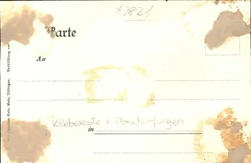 wz81960 Feldberg Schwarzwald Gasthaus zum Feldbergturm Viehweide Kuh Kategorie. Feldberg (Schwarzwald) Alte Ansichtskarten