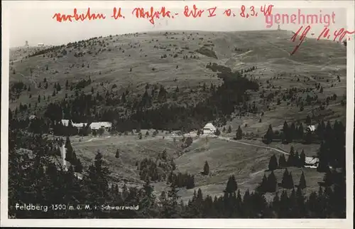 Feldberg Schwarzwald Panorama Blick zum Feldbergturm Bismarckdenkmal Stempel auf AK Kat. Feldberg (Schwarzwald)