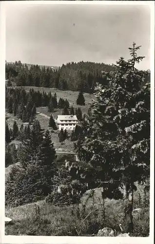 Feldberg Schwarzwald Gasthaus Pension zum Auerhahn Kat. Feldberg (Schwarzwald)