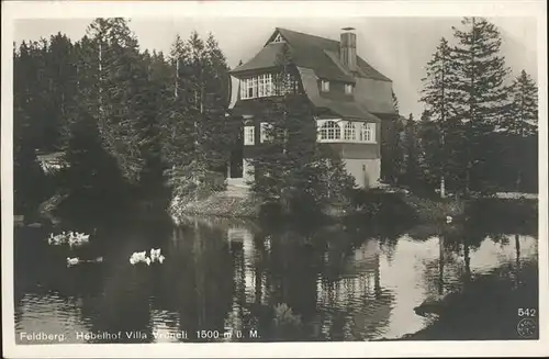 Feldberg Schwarzwald Hotel und Pension Hebelhof mit Villa Vreneli Teich Kat. Feldberg (Schwarzwald)