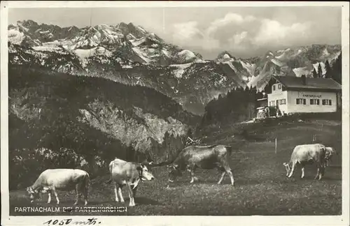 Garmisch Partenkirchen Partnachalm Kat. Garmisch Partenkirchen