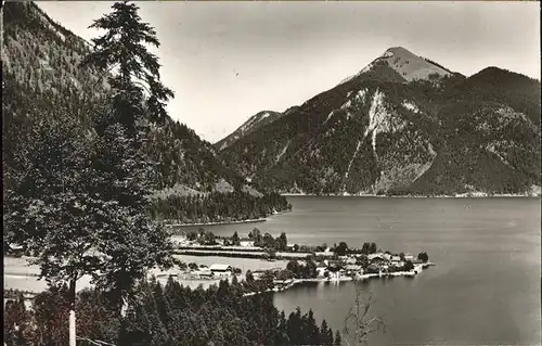 Walchensee Panorama mit Jochberg Kat. Kochel a.See