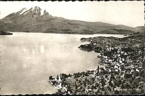 Weggis LU Panorama Blick ueber Vierwaldstaettersee Pilatus Kat. Weggis