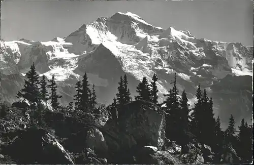 Schynige Platte Blick auf Jungfrau Berner Alpen Kat. Schynige Platte