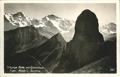 Schynige Platte Panorama mit Gummihorn Eiger Moench und Jungfrau Berner Alpen Kat. Schynige Platte
