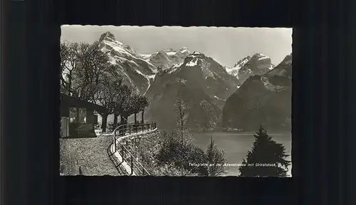 Ingenbohl Tellsplatte an der Axentrasse mit Urirotstock Urner Alpen Vierwaldstaettersee Kat. Brunnen