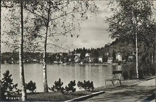 Weggis LU Uferpromenade am Vierwaldstaettersee Kat. Weggis