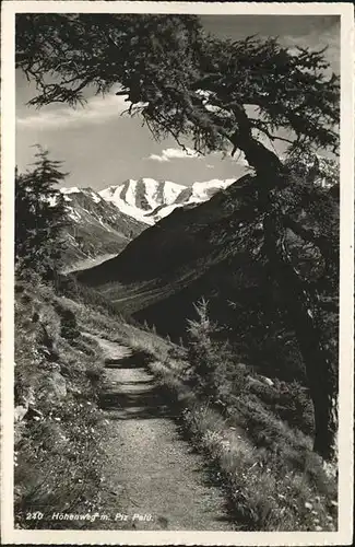 Pontresina Hoehenweg mit Piz Palue Berninagruppe Kat. Pontresina