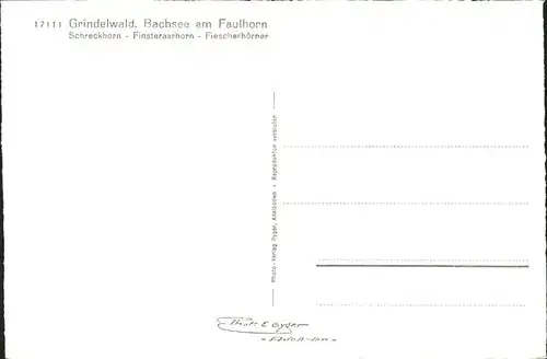 Grindelwald Bachsee am Faulhorn Schreckhorn Finsteraarhorn Fiescherhoerner Berner Alpen Alm Kuehe Kat. Grindelwald