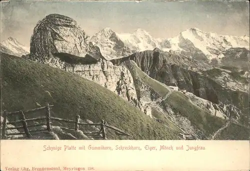 Schynige Platte Gummihorn Schreckhorn Eiger Moench Jungfrau Berner Alpen Kat. Schynige Platte