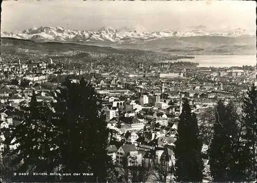 Zuerich Blick von der Waid Zuerichsee mit Alpenblick / Zuerich /Bz. Zuerich City