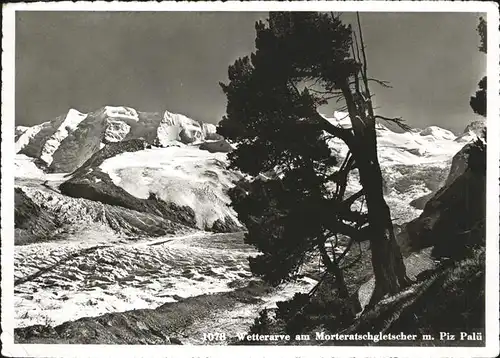 Pontresina Wetterarve am Morteratschgletscher mit Piz Palue Kat. Pontresina