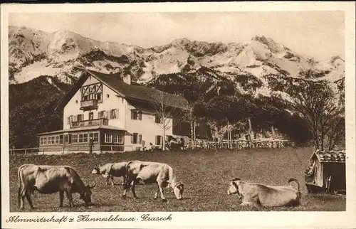 Garmisch Partenkirchen Almwirtschaft z. Hanneslebauer Graseck Kuehe Kat. Garmisch Partenkirchen