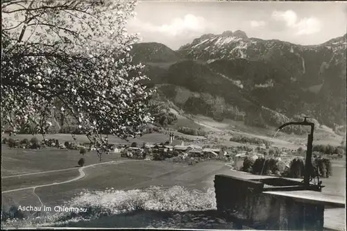 Aschau Panorama Kat. Aschau i.Chiemgau