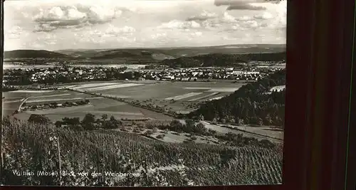 Wittlich Weinberge Mosel Kat. Wittlich