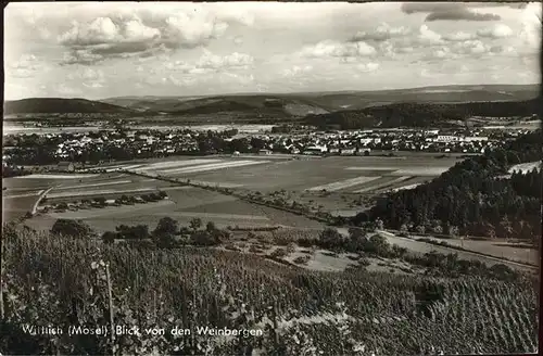 Wittlich Weinberge Kat. Wittlich