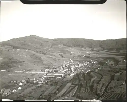 Bickensohl Fliegeraufnahme Kat. Vogtsburg im Kaiserstuhl