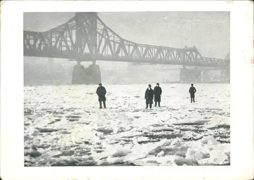 Duisburg Ruhr Zugefrorener Rhein zwischen Duisburg und Homberg / Duisburg /Duisburg Stadtkreis