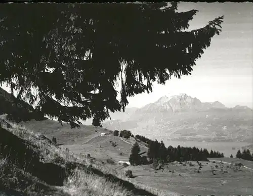 Kuessnacht Seebodenalp Rigi Pilatus Kat. Kuessnacht