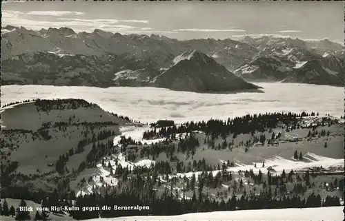 Rigi Kulm Berneralpen Kat. Rigi Kulm