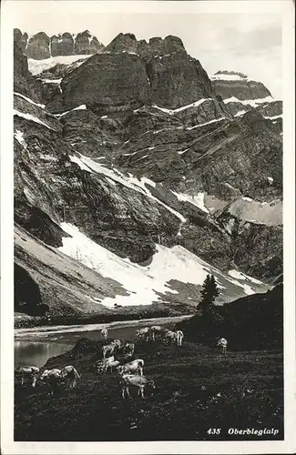 Oberblegialp Kuehe Kat. Luchsingen