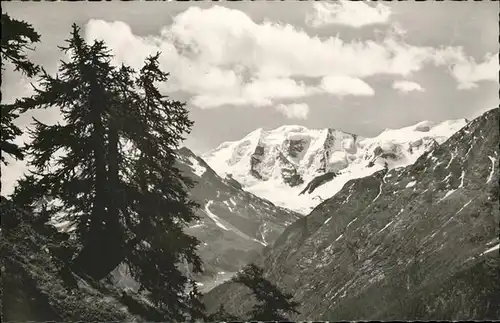 Muottas Muraigl Hoehenweg Alp Languard Piz Palue Kat. Muottas Muraigl