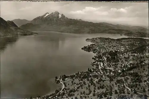 Vierwaldstaettersee SZ Flugaufnahme Kat. Brunnen