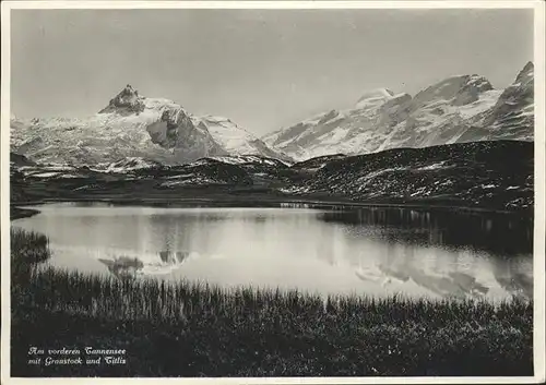 Graustock Innertkirchen Titlis Cannensee Kat. Graustock